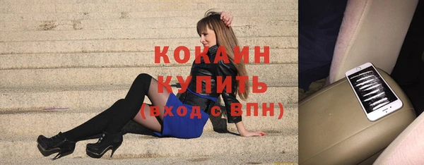 сатива Абинск