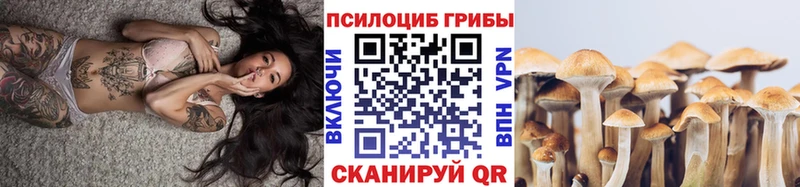 Псилоцибиновые грибы ЛСД даркнет сайт Железноводск